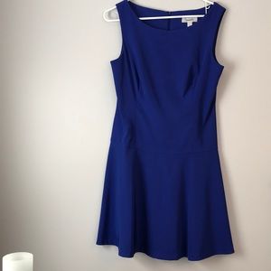 Beautiful Dress Barn Spandex Dress